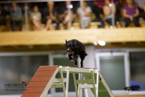 EH8A8655_DxO