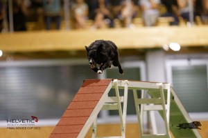 EH8A8660_DxO