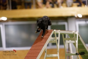 EH8A8662_DxO