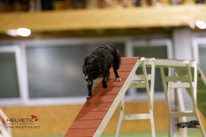 EH8A8664_DxO