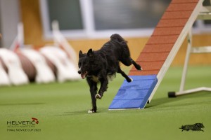 EH8A8670_DxO