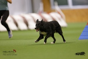 EH8A8674_DxO