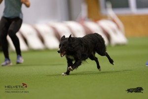 EH8A8675_DxO