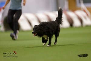 EH8A8677_DxO