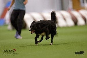 EH8A8678_DxO