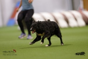 EH8A8679_DxO