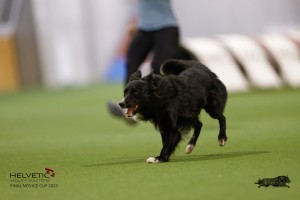 EH8A8681_DxO