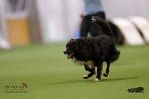 EH8A8682_DxO