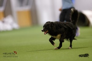 EH8A8683_DxO
