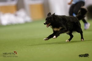 EH8A8684_DxO