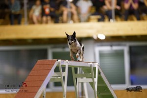 EH8A8704_DxO