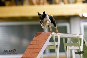 EH8A8711_DxO