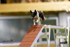 EH8A8712_DxO