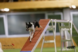 EH8A8717_DxO