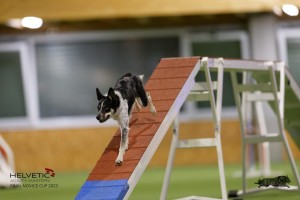 EH8A8718_DxO