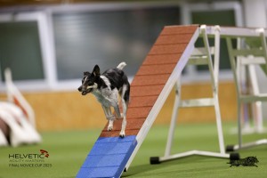 EH8A8720_DxO