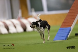 EH8A8725_DxO