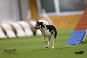 EH8A8726_DxO