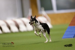 EH8A8727_DxO