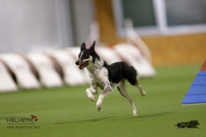 EH8A8728_DxO