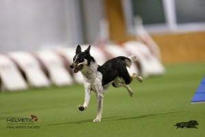 EH8A8729_DxO