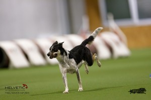 EH8A8730_DxO