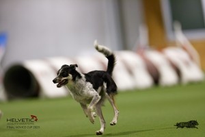 EH8A8732_DxO