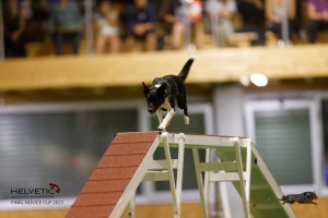 EH8A8758_DxO