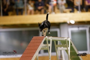 EH8A8759_DxO
