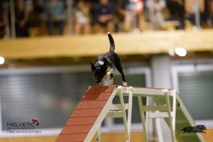 EH8A8761_DxO
