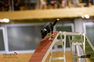 EH8A8764_DxO