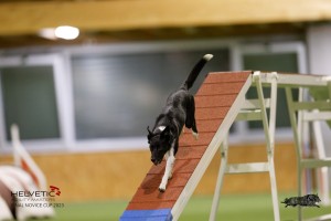 EH8A8768_DxO