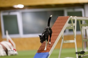 EH8A8769_DxO