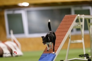 EH8A8770_DxO