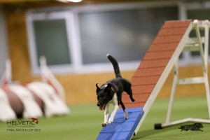 EH8A8772_DxO
