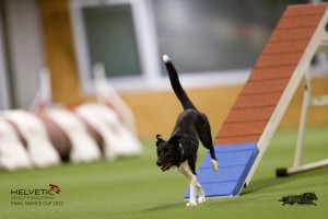 EH8A8774_DxO