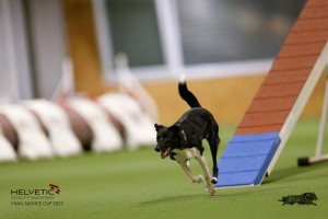 EH8A8775_DxO