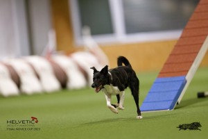 EH8A8776_DxO