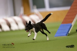 EH8A8778_DxO