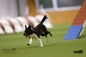EH8A8779_DxO