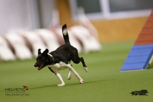 EH8A8780_DxO