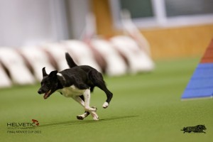 EH8A8781_DxO