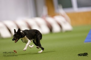 EH8A8782_DxO