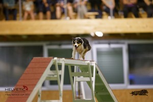 EH8A8802_DxO