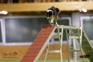 EH8A8814_DxO