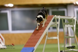EH8A8822_DxO