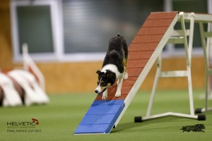 EH8A8829_DxO