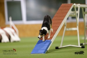 EH8A8830_DxO