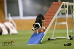 EH8A8831_DxO