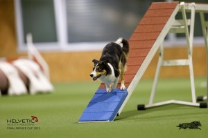 EH8A8832_DxO